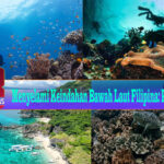 Menyelami