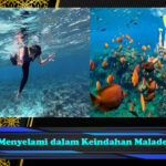 Menyelami