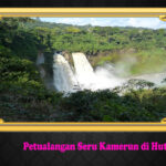 Petualangan Seru Kamerun di Hutan Tropis