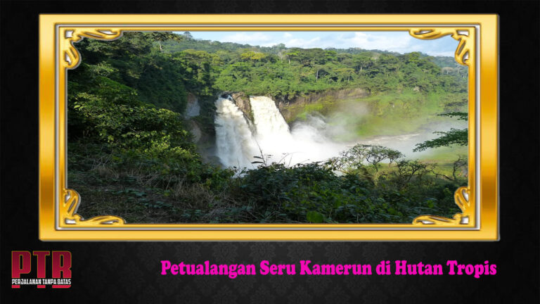 Petualangan Seru Kamerun di Hutan Tropis