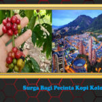 Surga Bagi Pecinta Kopi Kolombia