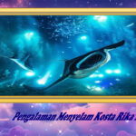 Pengalaman Menyelam Kosta Rika Luar Biasa