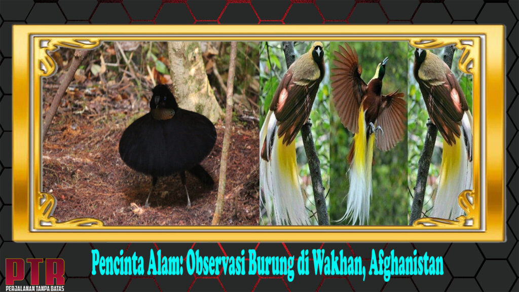 Pencinta Alam: Observasi Burung di Wakhan, Afghanistan